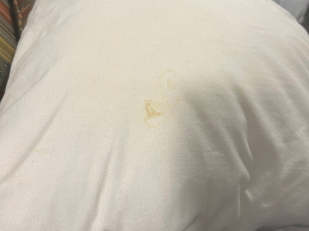 Best Western Plus Appleton Airport Mall Hotel主图