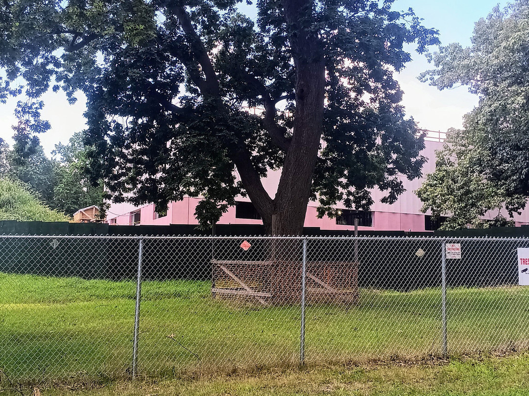 Orchard Beach Golf & Country Club景点图片