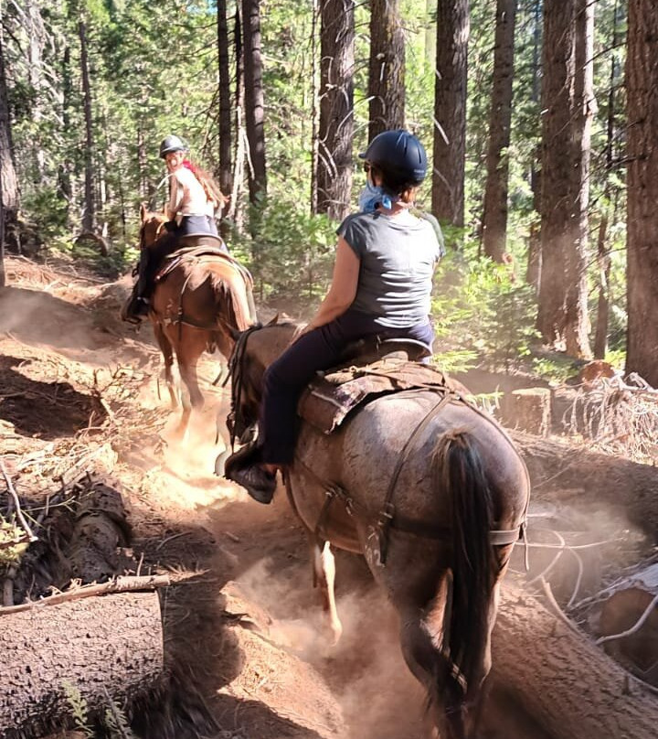 Yosemite Trails Horseback Adventures-菲什营必去景点