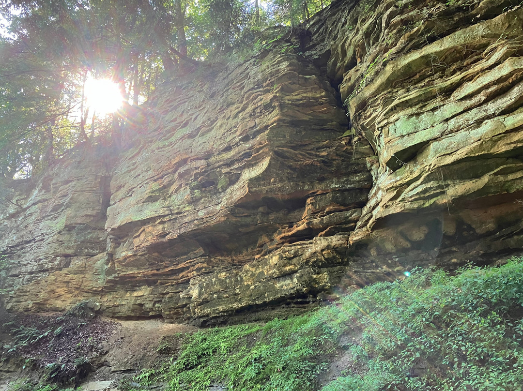 Shades State Park景点图片