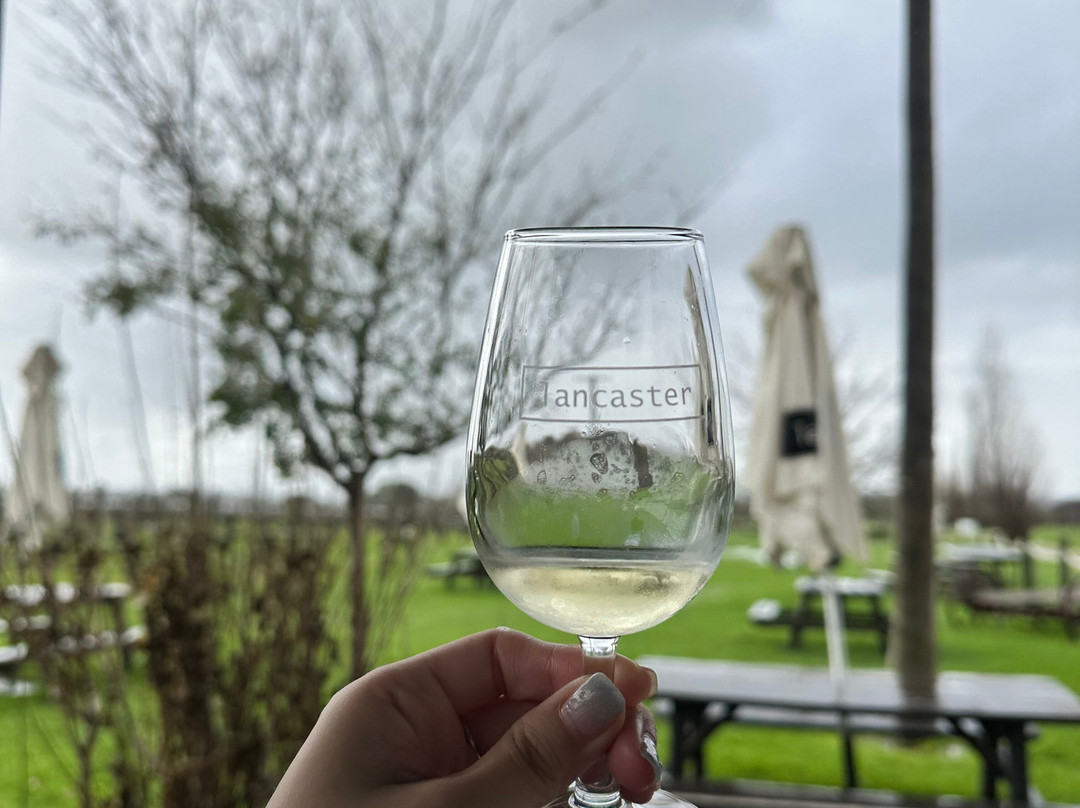 Out & About Wine Tours景点图片