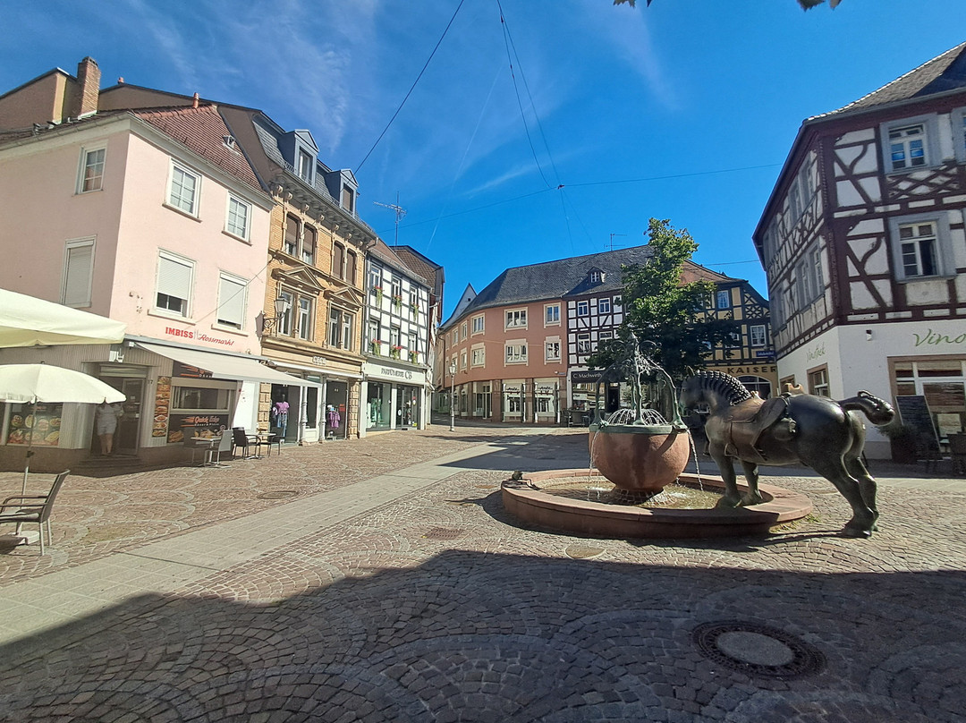 Roßmarktbrunnen景点图片