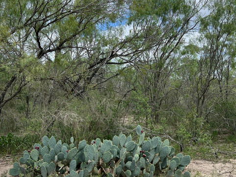 Medina River Natural Area-圣安东尼奥市必去景点