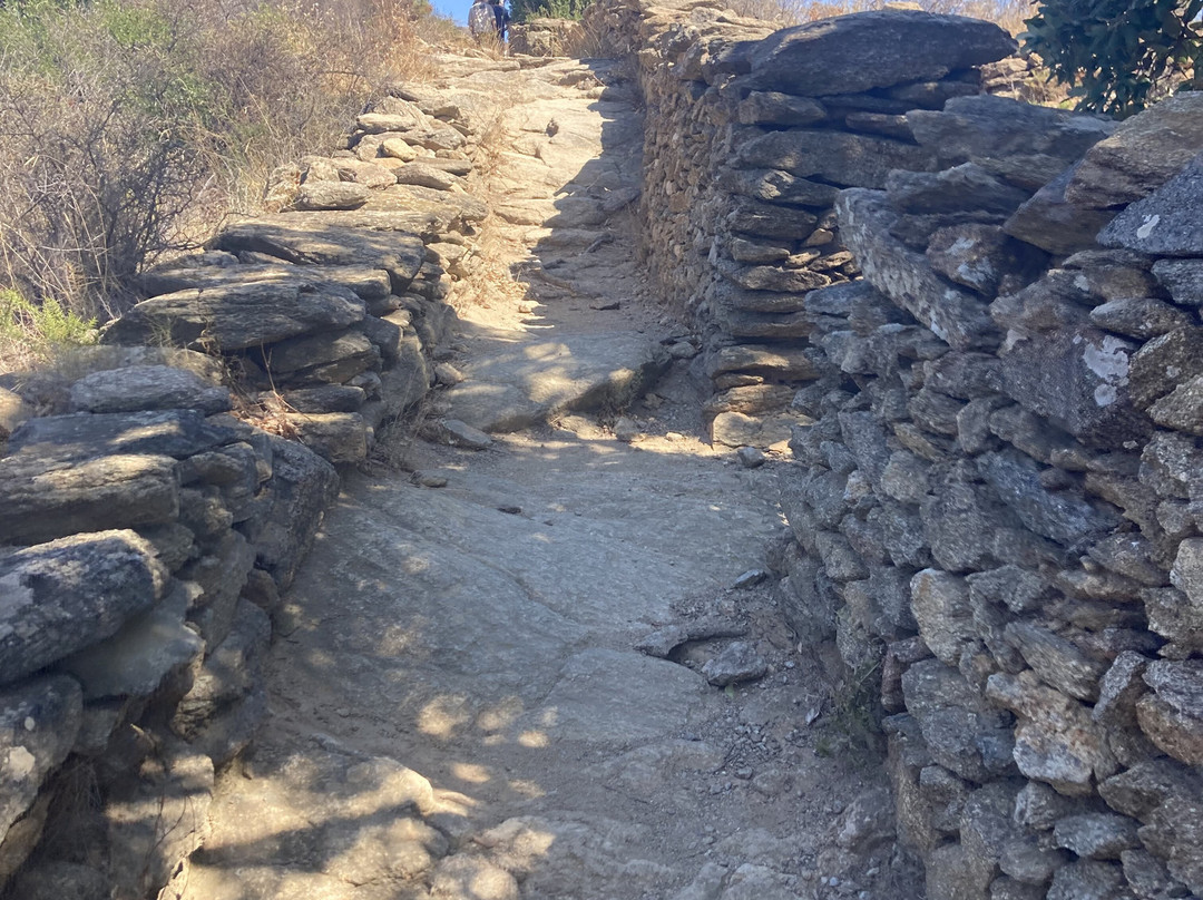 Parc Megalitic de Roses景点图片