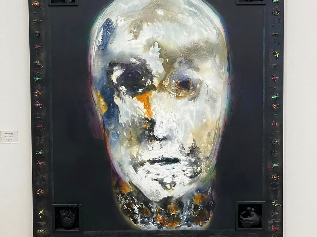 Daum Museum of Contemporary Art-锡代利亚必去景点