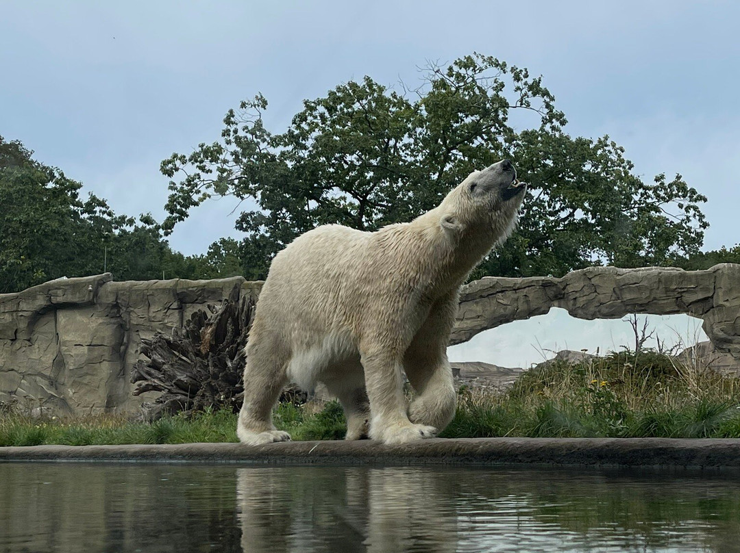 Rostock Zoo景点图片