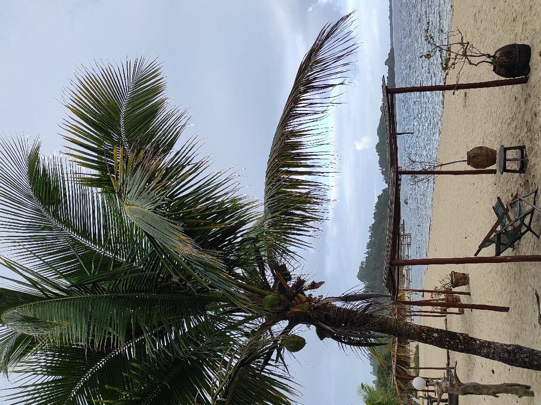 Les Acacias Bungalows Manambato主图