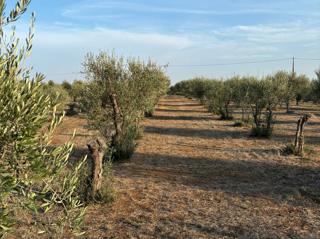 Circolo Ippico Fanò-Scorrano必去景点