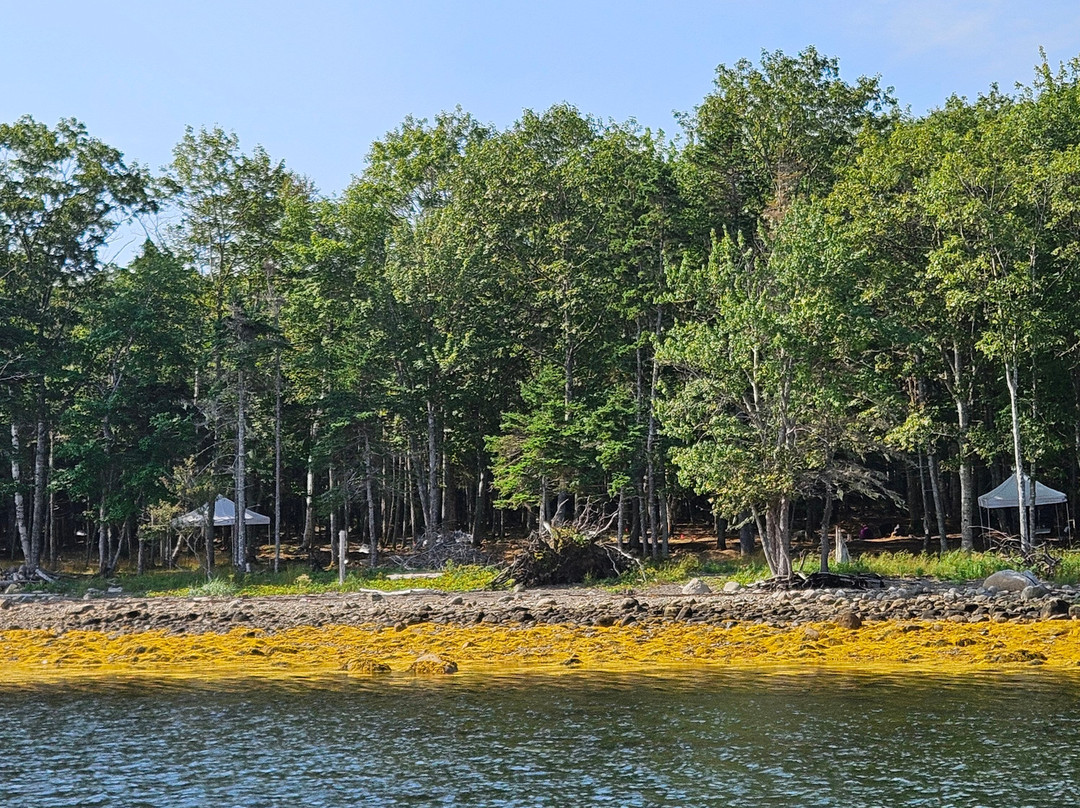 Salty Dog Sea Tours-Oak Island必去景点