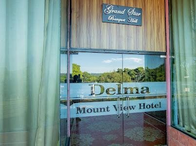 Delma Mount View Hotel主图