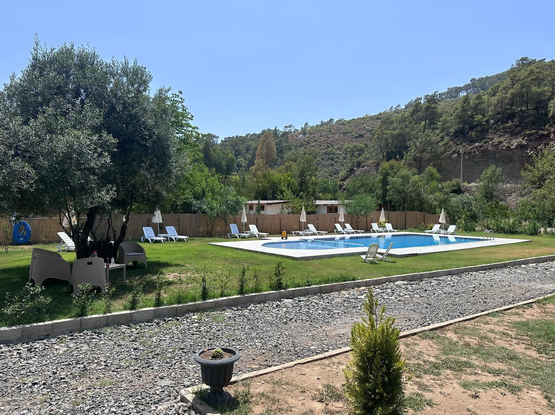 Merlin Valley