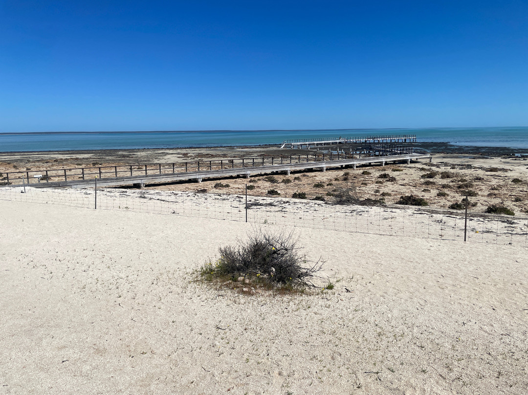 Hamelin Pool Telegraph Station-Hamelin Pool必去景点