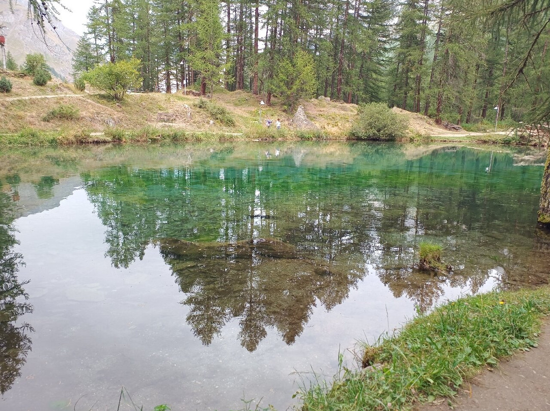 Lago Pellaud景点图片