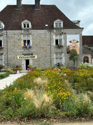 Sauveterre de Bearn景点图片