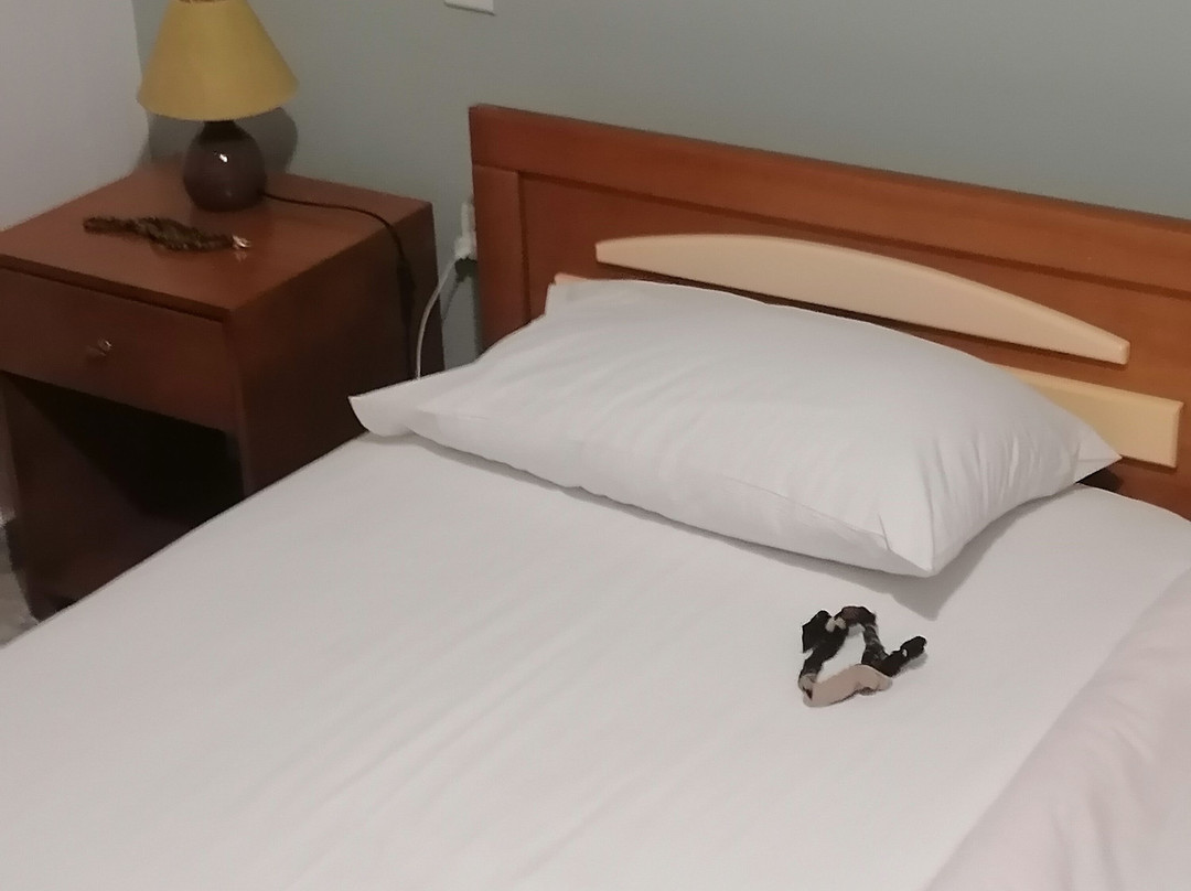 Dimitra Studios主图