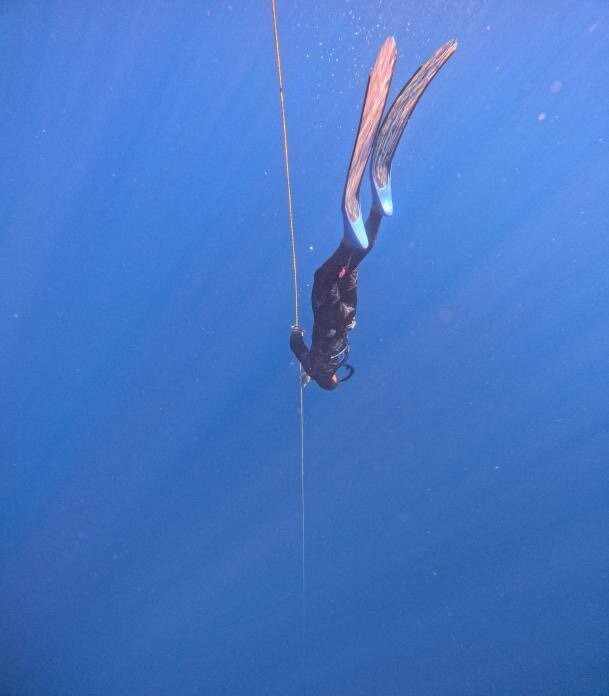 Coral Coast Freediving-Korolevu必去景点