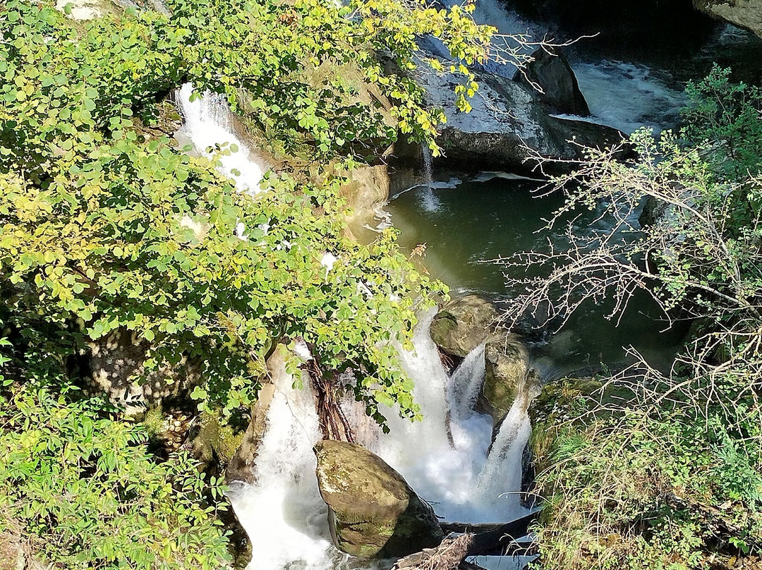 Gorges Du Sierroz景点图片