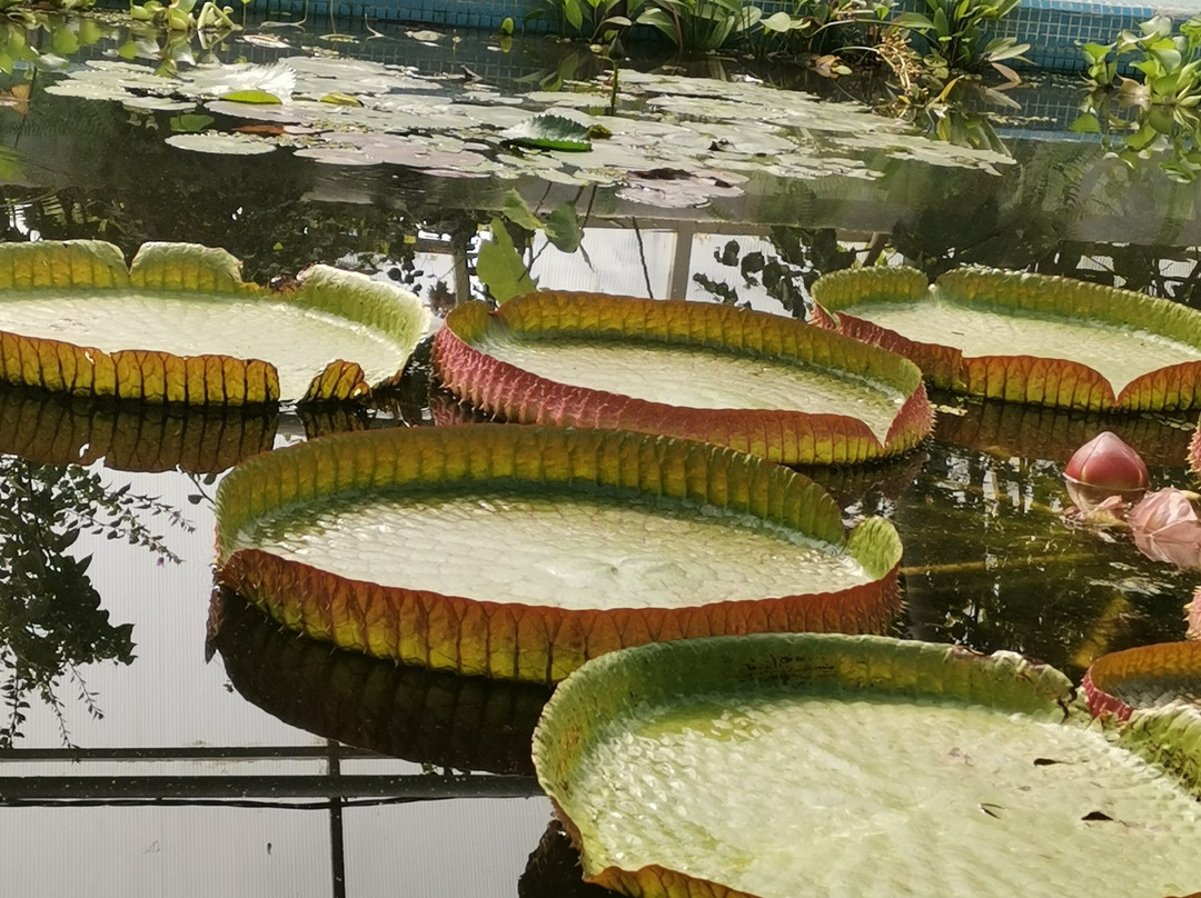 Stavropol Botanical Garden-Stavropol必去景点