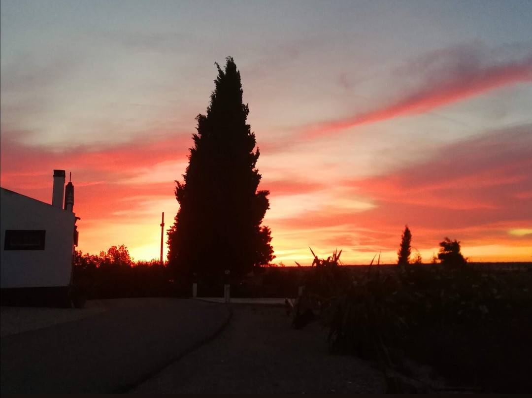 Herdade da Fonte Ferreira主图