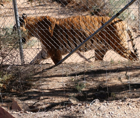 Keepers Of The Wild Nature Park & Wildlife Sanctuary-Valentine必去景点