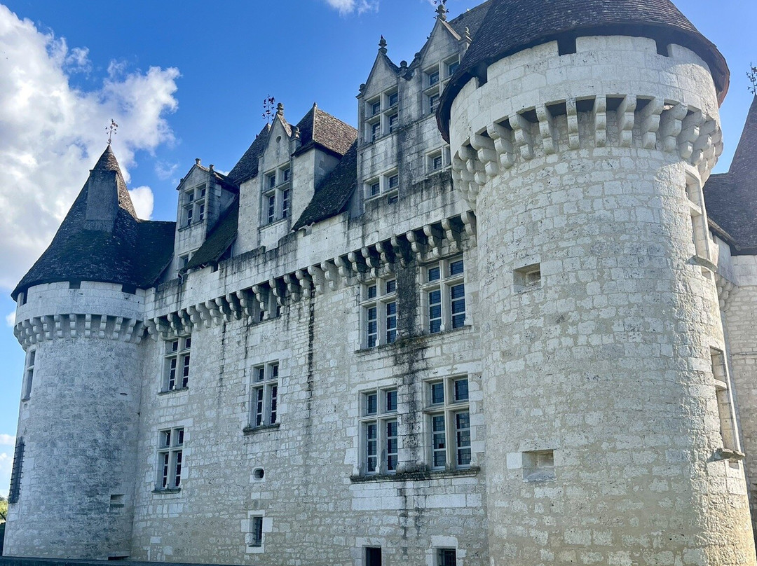 Château de Monbazillac景点图片