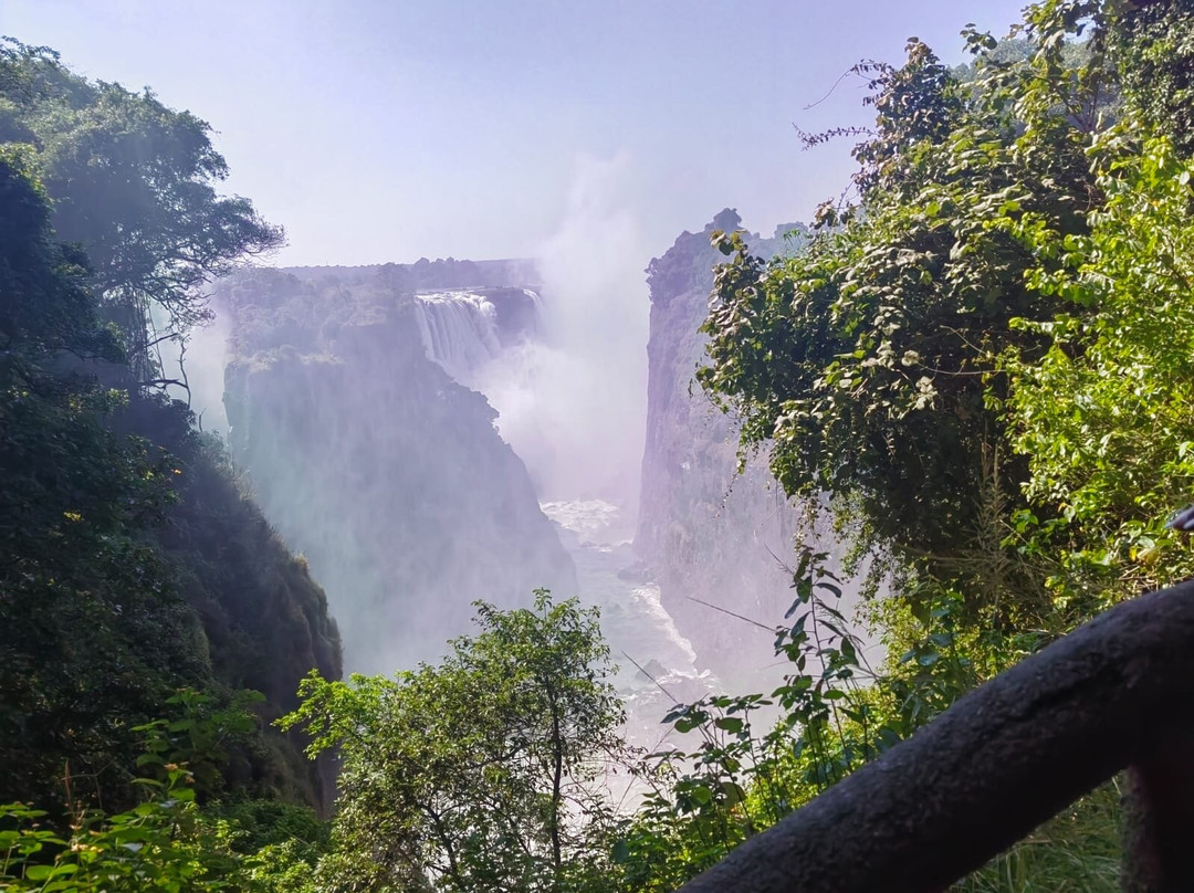Africa Moja Tours And Safaris景点图片