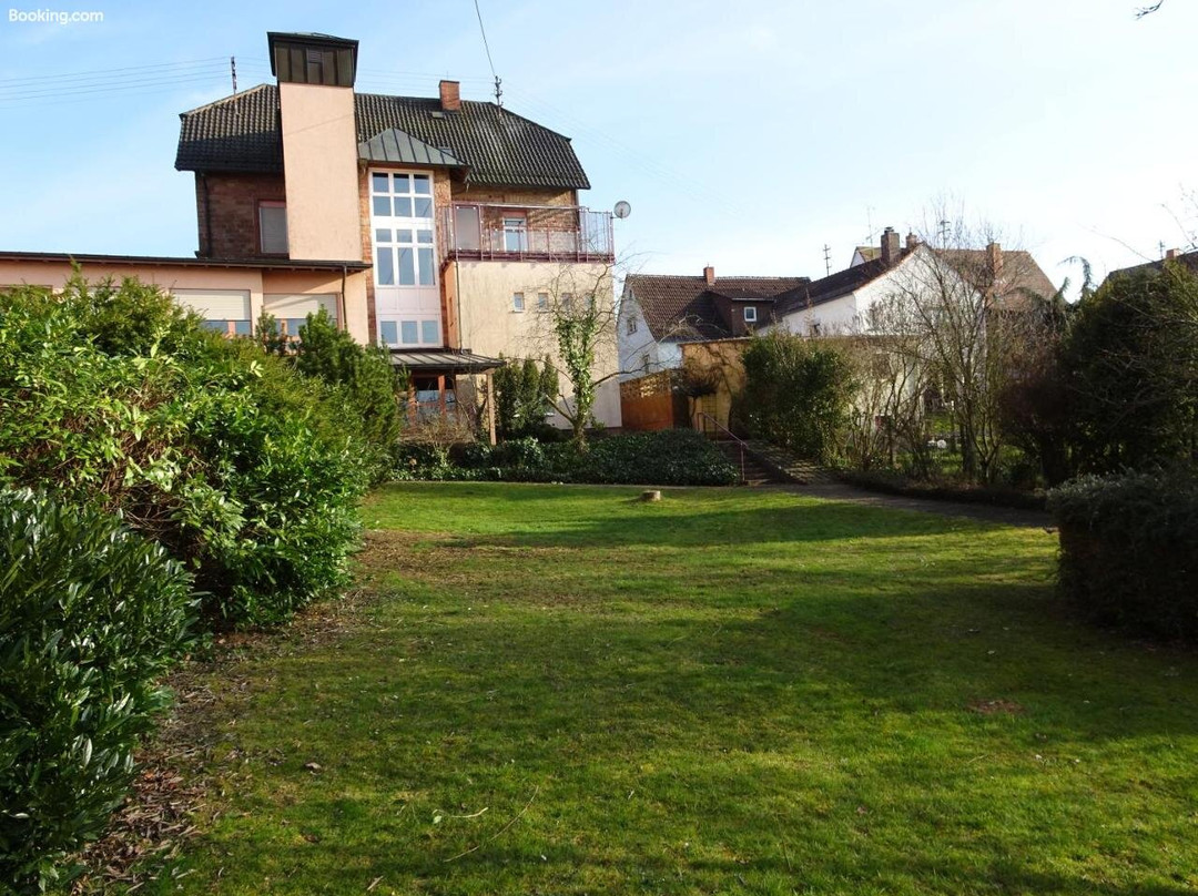 Hotel - Pension Schlossgarten主图