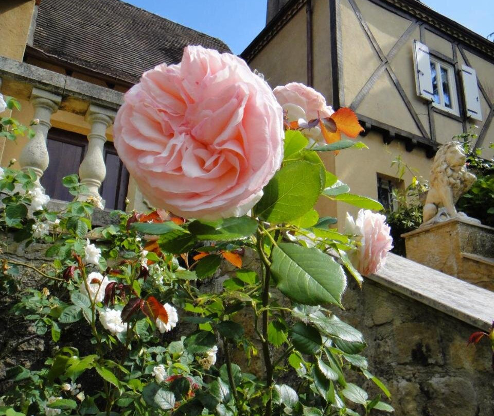 Le Tambourinet主图