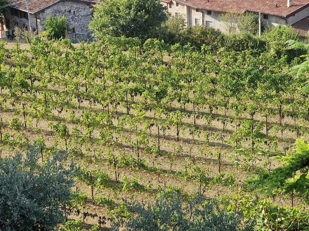 Azienda Agricola La Guarda景点图片