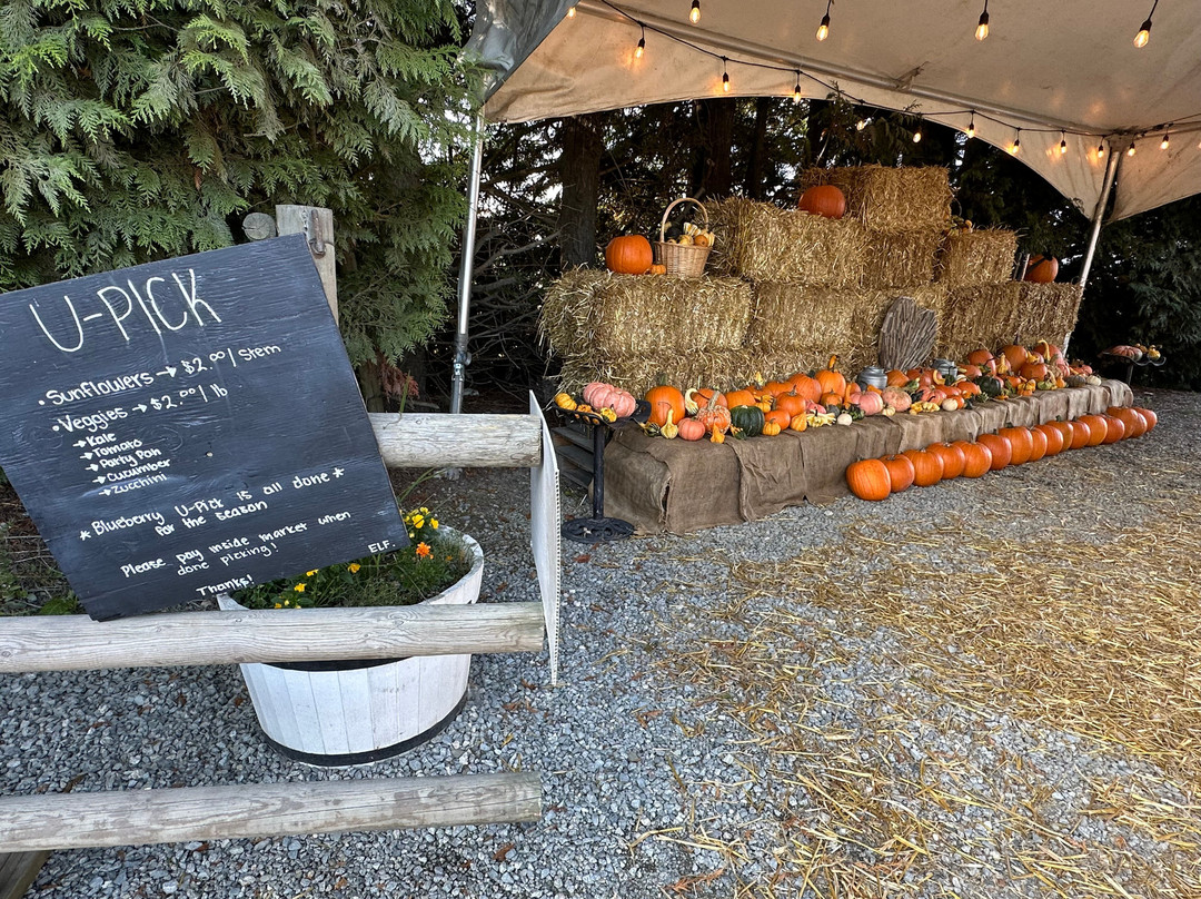 Emma Lea Farms-Delta必去景点