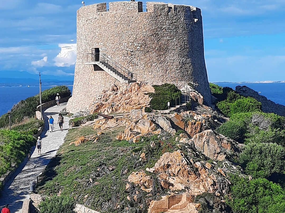 Torre di Longonsardo-圣特雷莎加卢拉必去景点