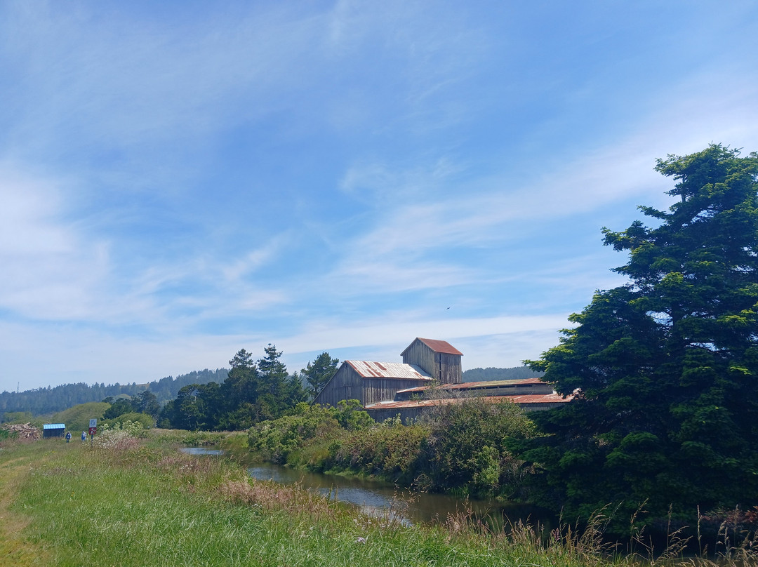 Humboldt Bay National Wildlife Refuge Complex景点图片