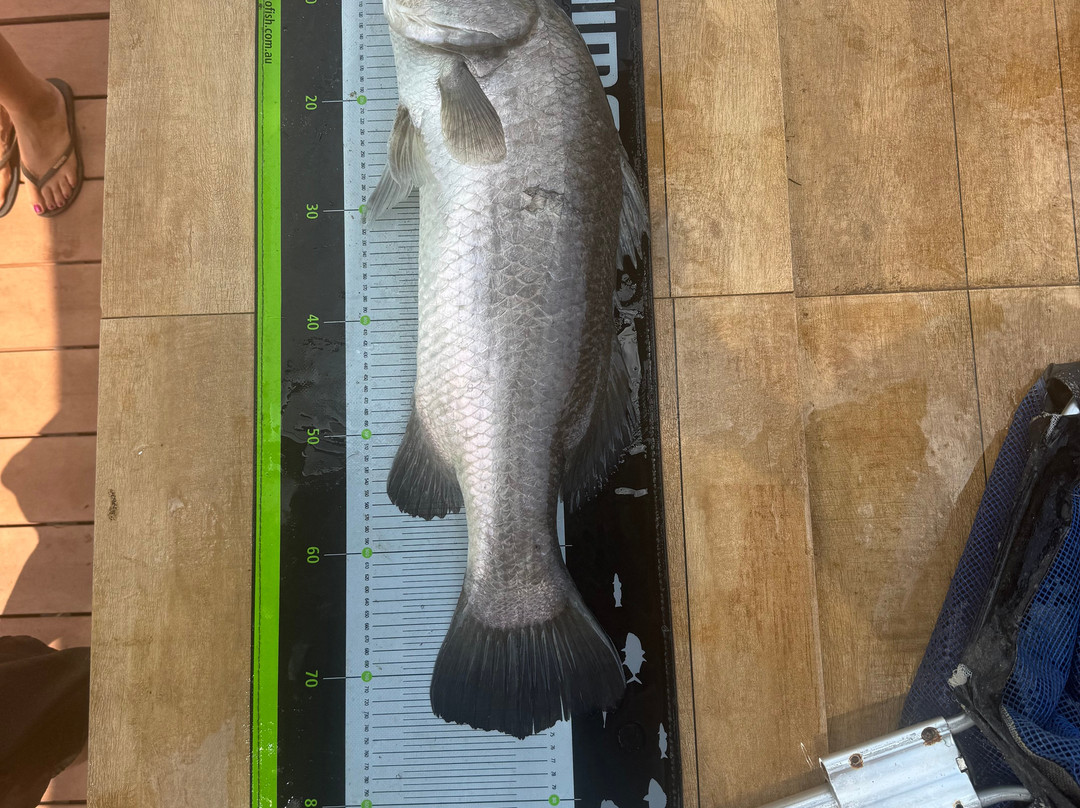 Barramundi Adventures Darwin-Berry Springs必去景点