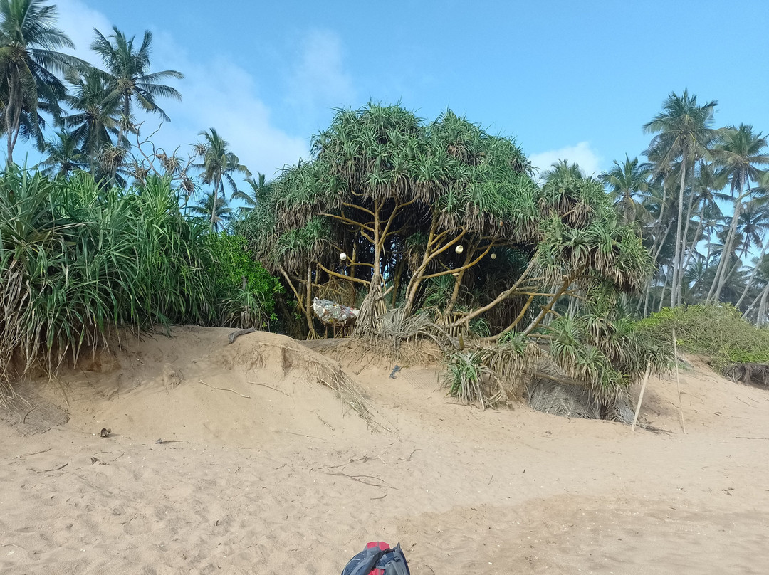 Turtle Watch Rekawa-唐卡拉必去景点