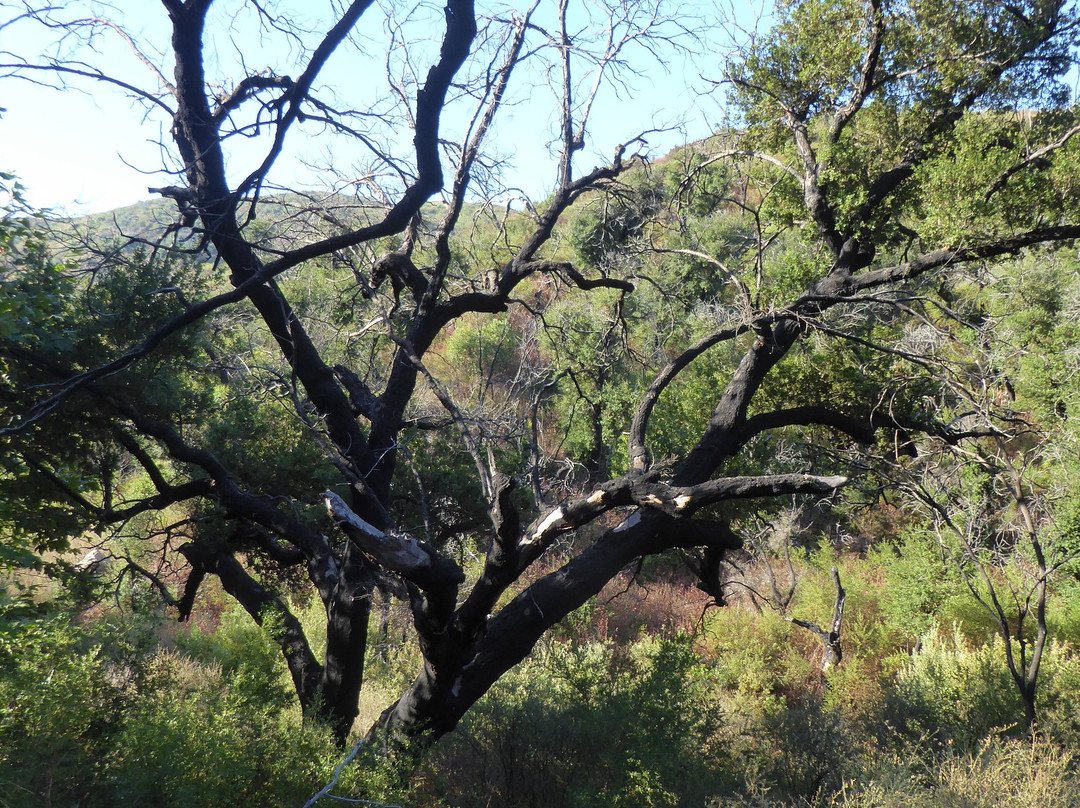 Backbone Trail景点图片