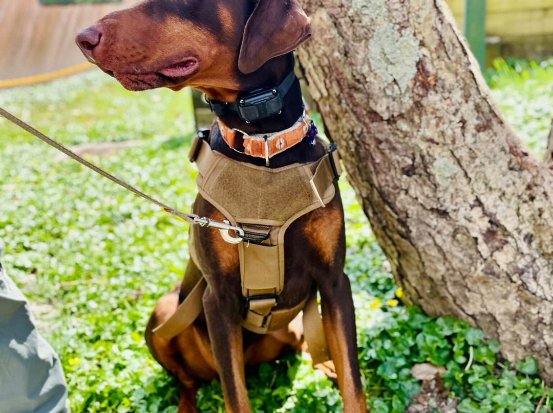 Cincinnati Nature Center-Milford必去景点