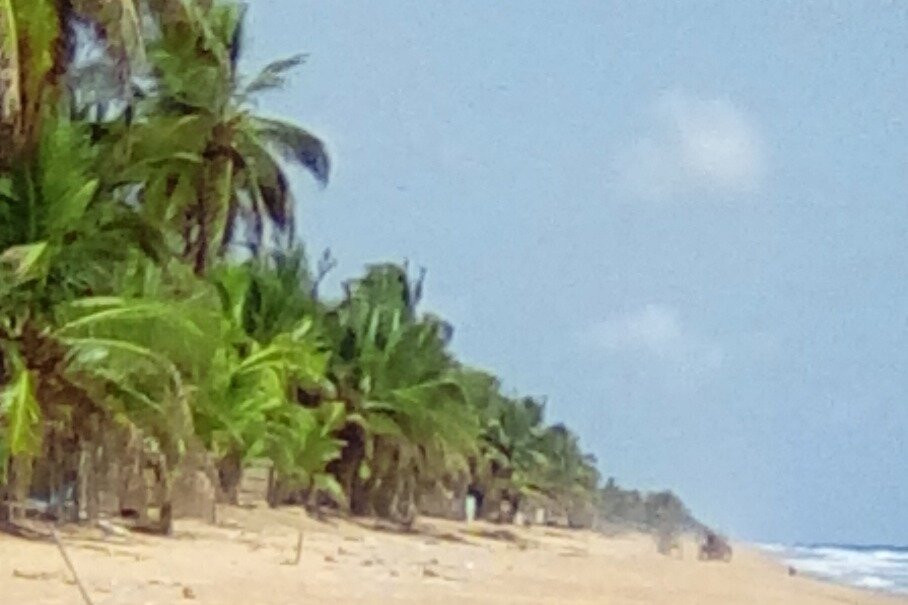 Dayo Africa Tours-Songon-Te必去景点