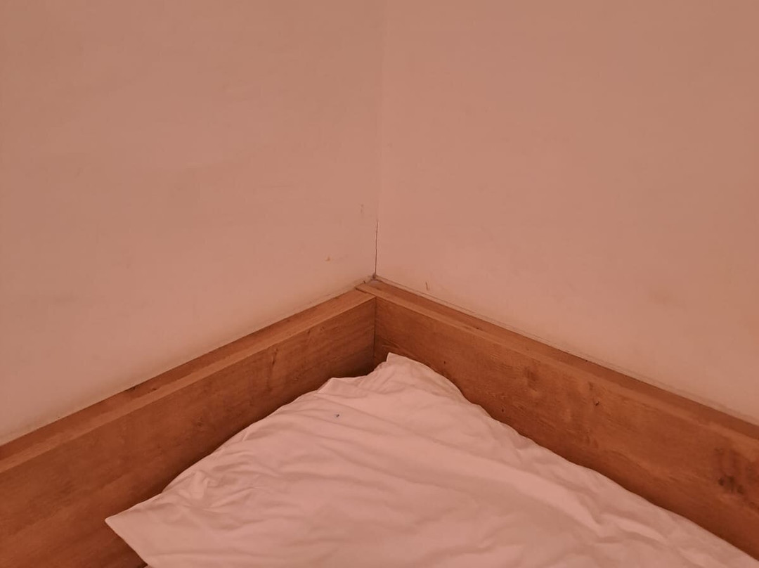 Wels Inn Hotel主图