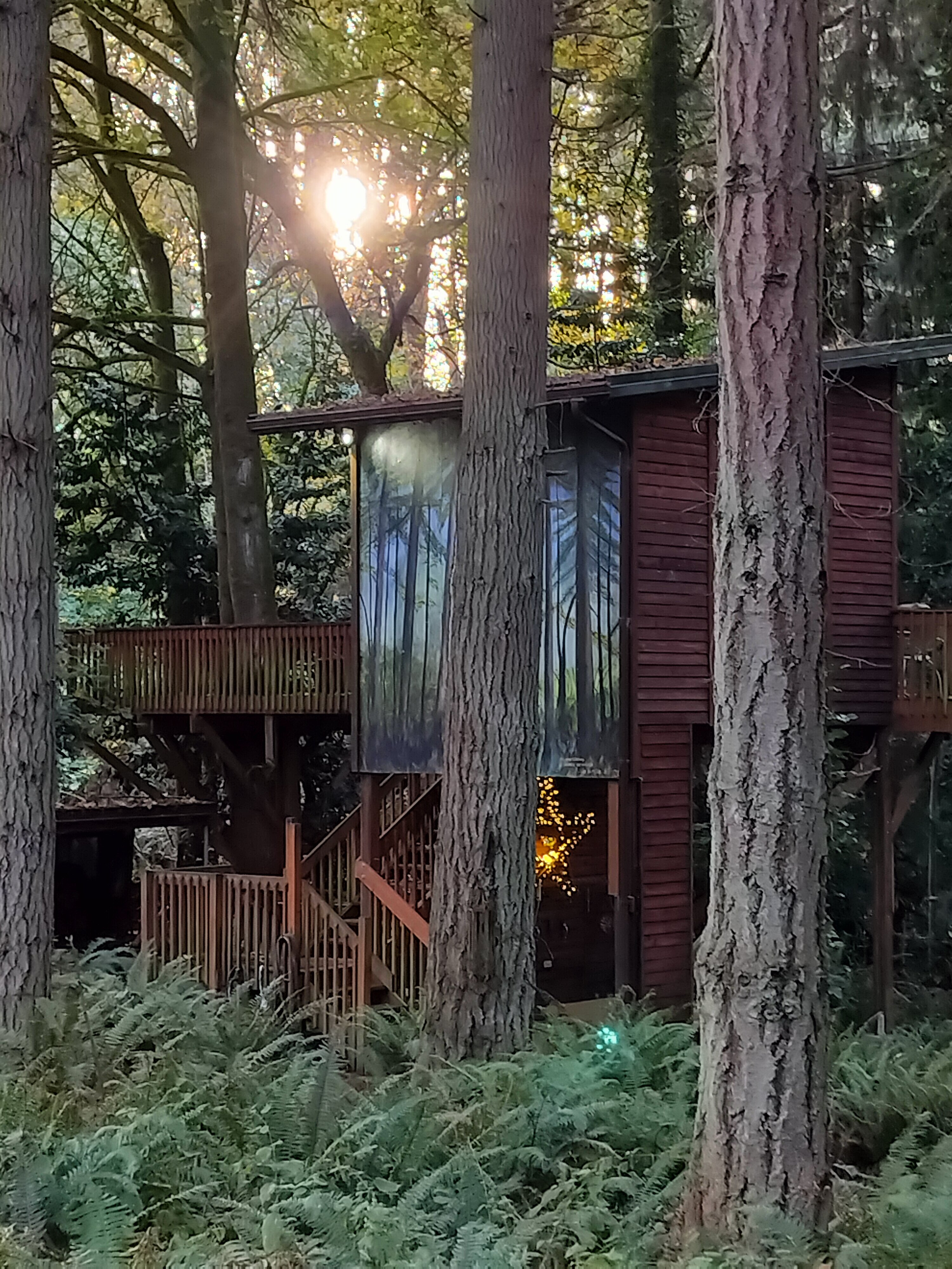 No Cabbages Bed & Breakfast-官方