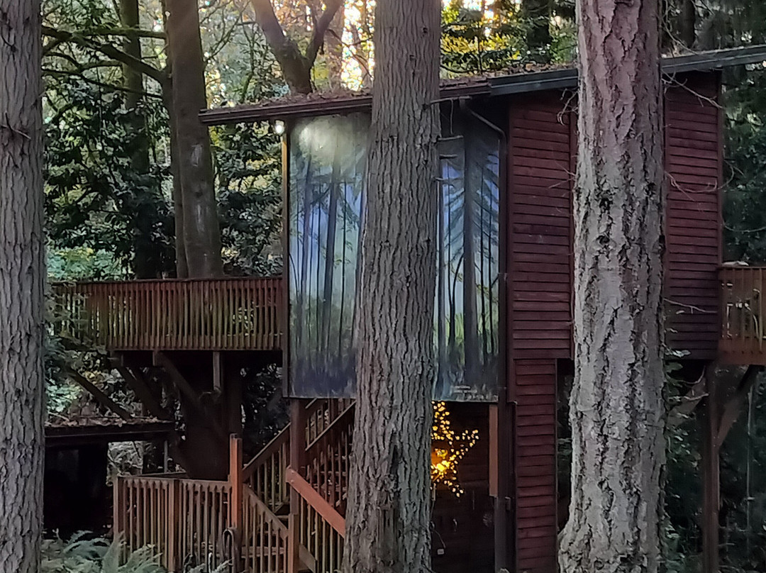 No Cabbages Bed & Breakfast主图