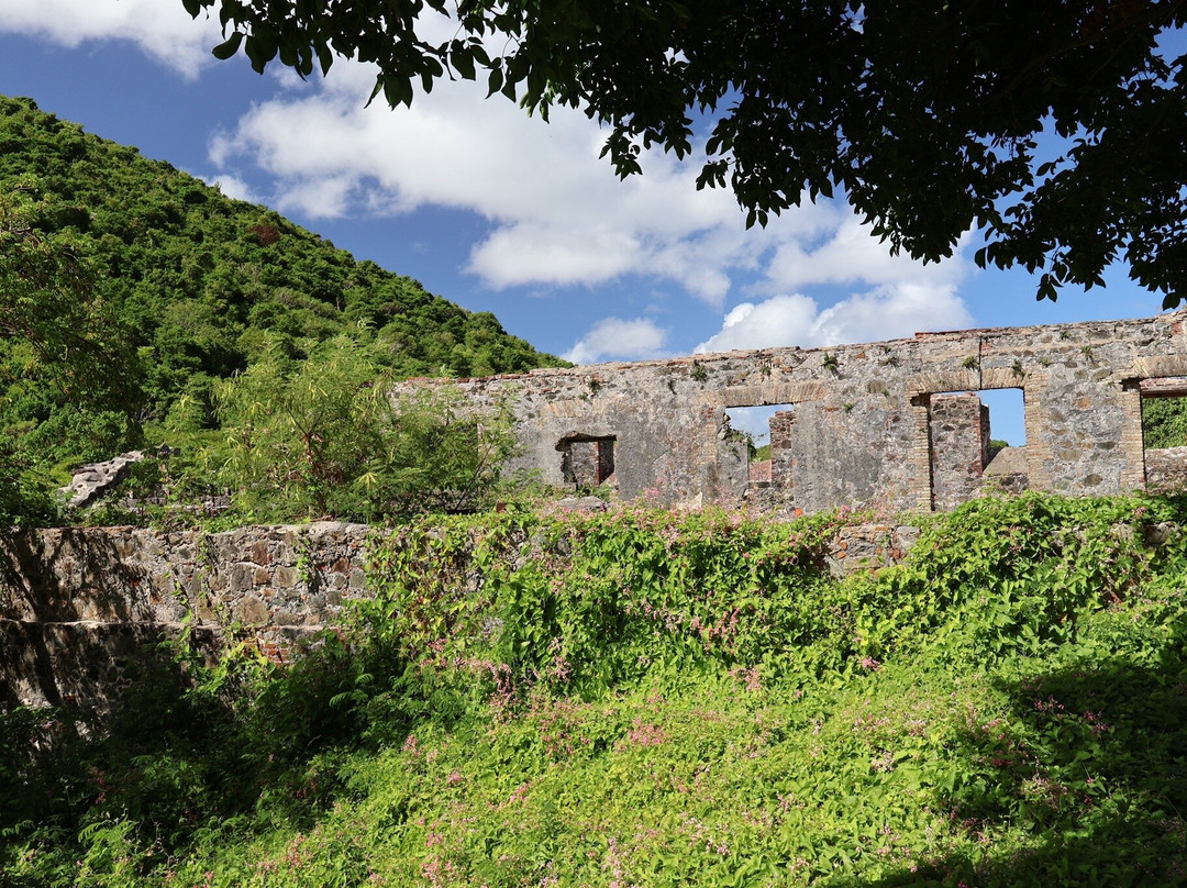 Annaberg Sugar Plantation景点图片