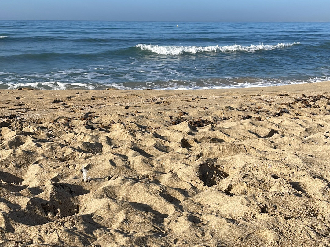 Hotel Don Miguel Playa主图