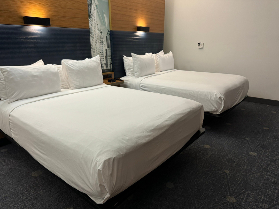 芝加哥奥黑尔雅乐轩酒店主图