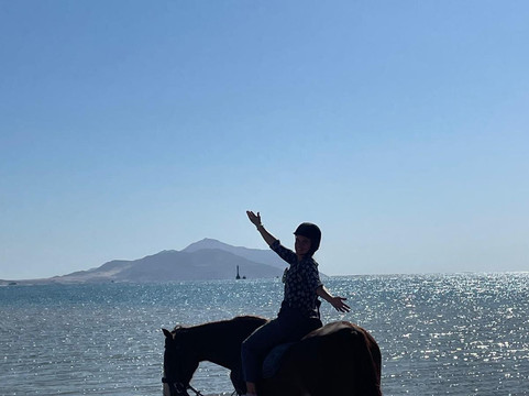 Edelweiss Equestrian Center-沙姆沙伊赫必去景点