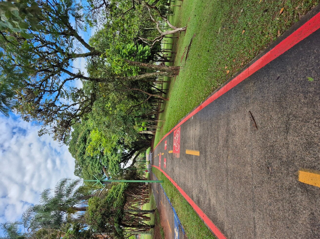 Parque Da Cidade-容迪亚伊必去景点