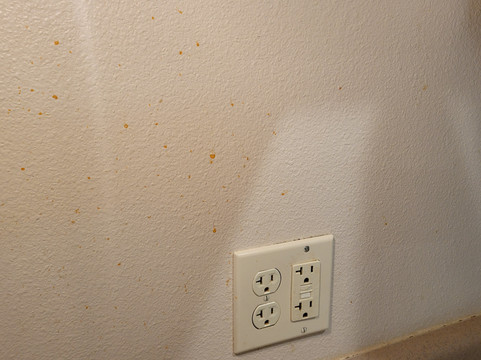 弗里敦伍德斯普林套房酒店主图