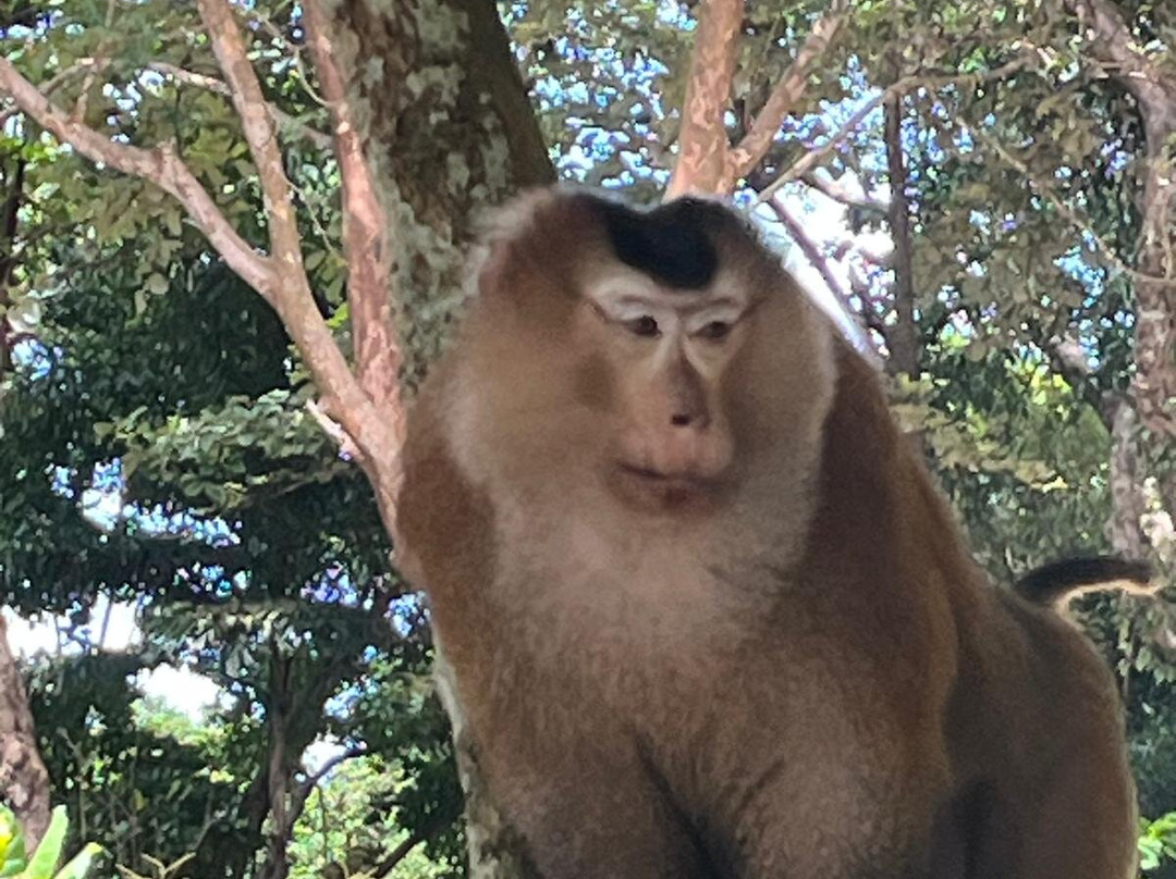 Greenview Tour-库拉武里必去景点