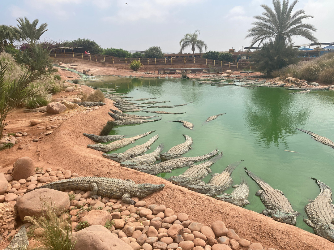 Agadir Atlantic Excursion-阿加迪尔必去景点