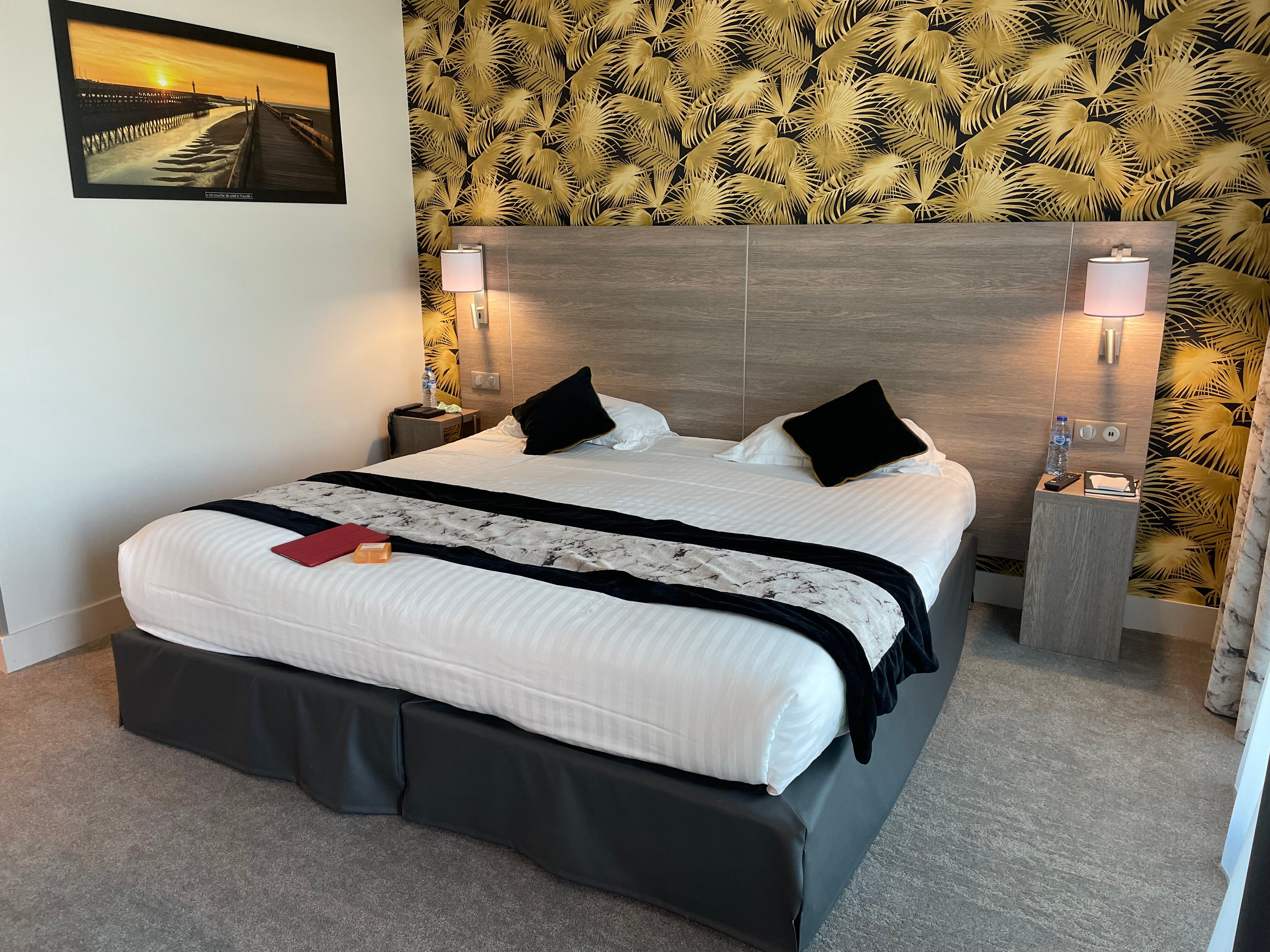 Hotel Eden Spa-客卧