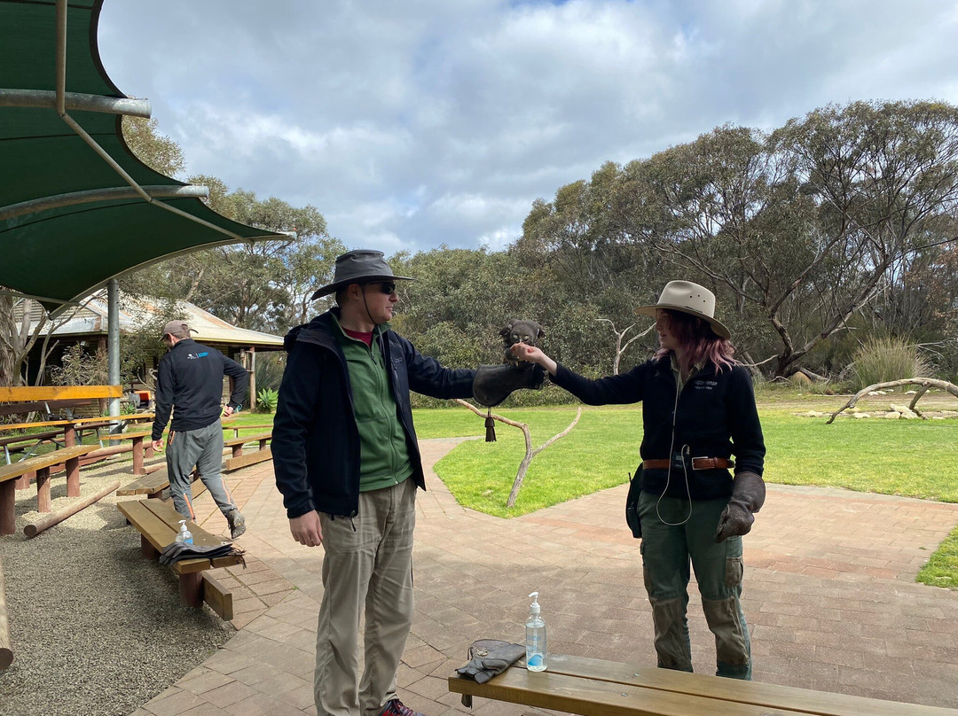 Raptor Domain-Seal Bay必去景点